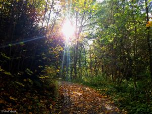 Zwischen Tramser Weiher und Hubertuskapelle
