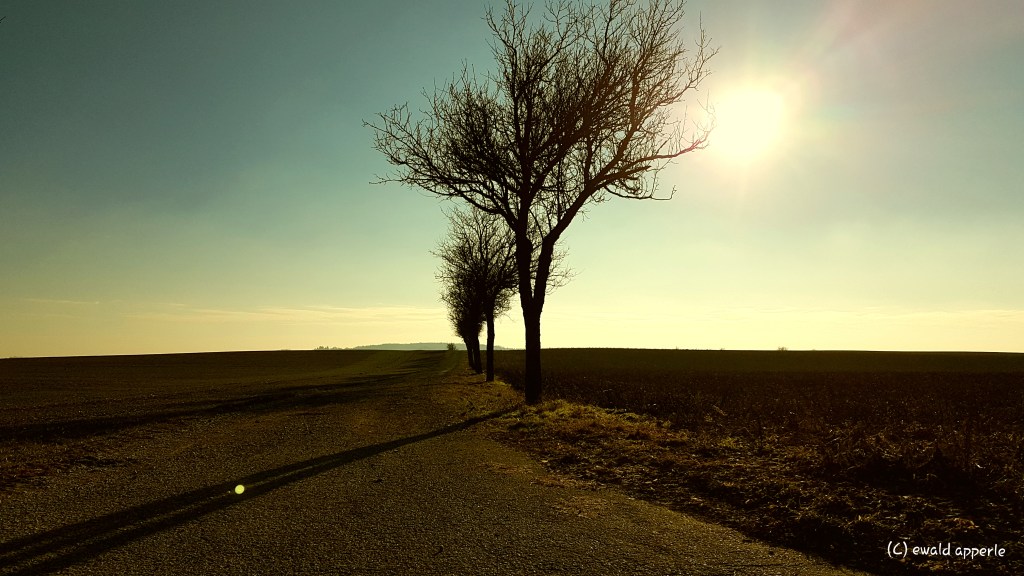 My thoughts wander in a&nbsp;desert